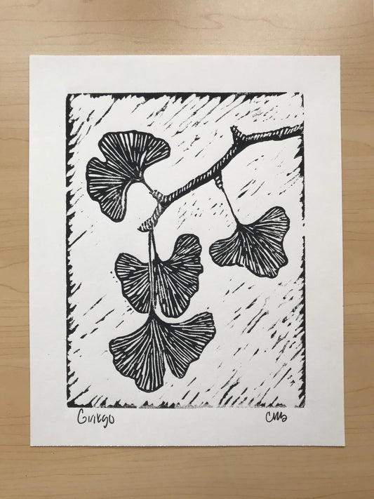 Ginkgo